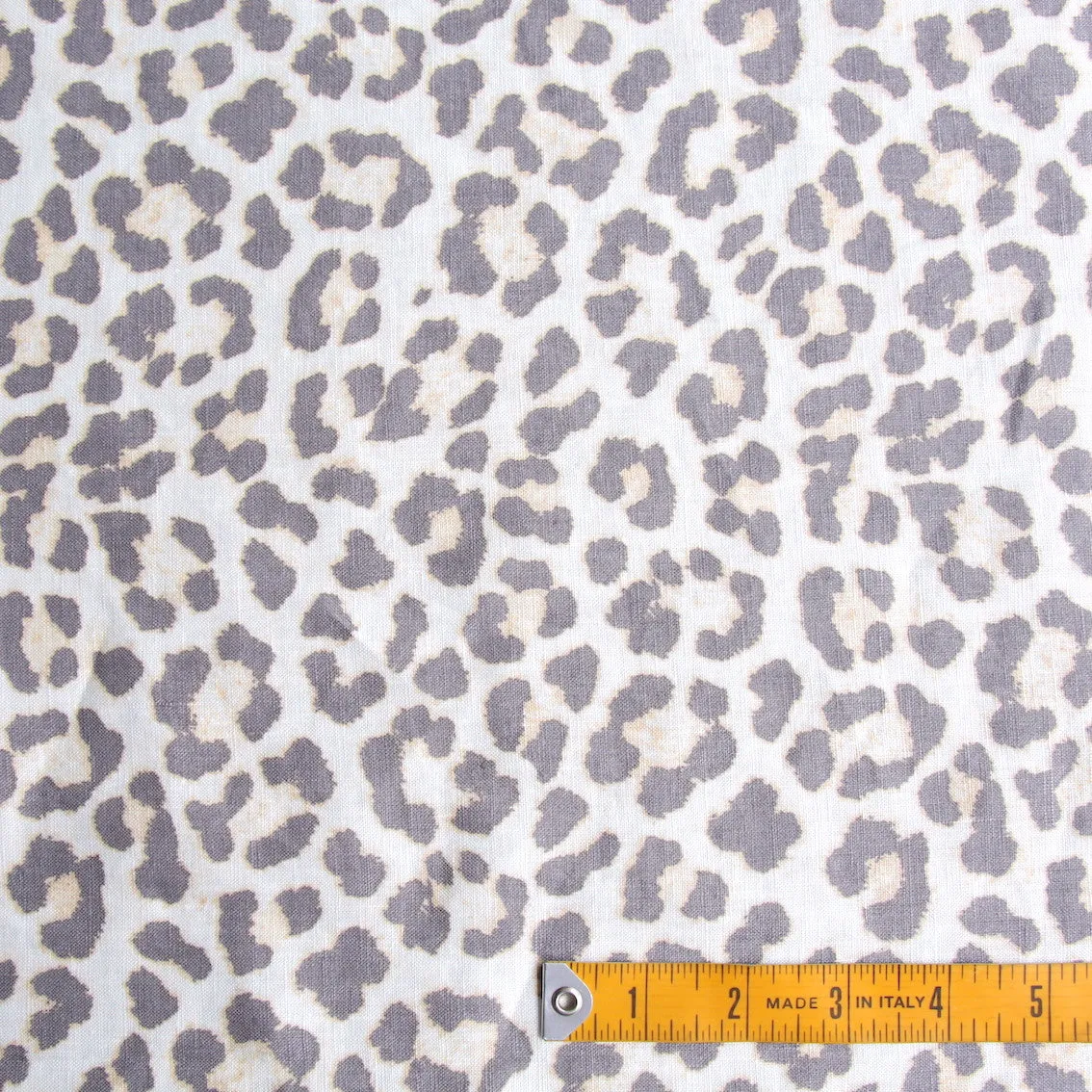 Light Spotted Leopard